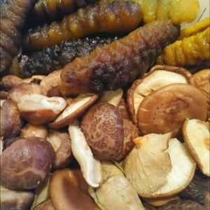 Meet your Posher, Timothy